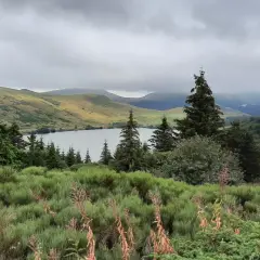 Vue paisible d'une randonnée au lac de Guéry, avec des collines verdoyantes, des sapins et un lac calme sous un ciel nuageux.