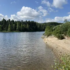 Magnifique paysage pour un tour du lac de Naussac à vélo. Eau calme, plage de galets et forêt dense sous un ciel bleu et nuageux.