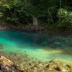 Sentier en bois longeant la rivière aux eaux turquoise des gorges de Vintgar, entourée de verdure luxuriante.