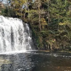 Cascade d'eau tombant dans un lac, entourée d'arbres aux couleurs d'automne. Le lac d'Entraigues reflète la beauté sauvage de la nature.
