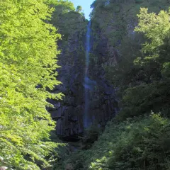 Randonnée dans la vallée de Chaudefour, la cascade de la Biche se dévoile à travers une végétation luxuriante et verdoyante.