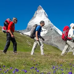 Randonneurs en marche avec le **Tour du Cervin** en toile de fond, sous un ciel bleu éclatant.