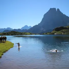 Chevaux près d'un lac de montagne, un enfant barbotant dans l'eau. La plus belle randonnée France 2 jours, paysage pyrénéen époustouflant.
