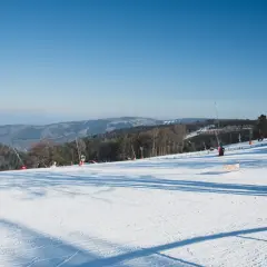 Piste de ski de fond au Champ du Feu, sous un ciel bleu. Des canons à neige sont visibles sur le flanc de la montagne enneigée.