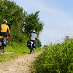 Deux cyclistes explorent un chemin de terre bordé d'arbres et d'herbes hautes. Le soleil brille, un décor idyllique pour le meilleur endroit pour faire du vélo en France.