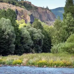 Rivière paisible traversant la gorge de l'Allier, bordée de végétation luxuriante et de falaises rocheuses.