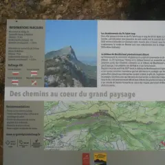 Panneau d'information sur les randonnées du Pic Saint-Loup, détaillant les parcours, le balisage et les recommandations. Le dénivelé du Pic Saint-Loup est mentionné.