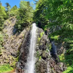 Une cascade 63 s'écrase sur une paroi rocheuse, entourée d'une végétation luxuriante et d'arbres verdoyants sous un ciel bleu.