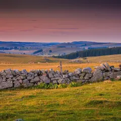 Paysage vallonné de l'altitude Aubrac, avec un muret de pierres sèches au premier plan et des collines ondulantes à l'horizon sous un ciel orangé.