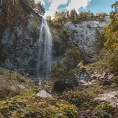 La grande cascade du Mont-Dore dévale une falaise rocheuse, entourée d'une végétation luxuriante et de pins.