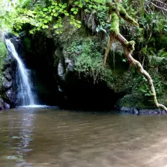 Cascade d'eau tombant dans un bassin aux gorges d'Enval, entourée de végétation luxuriante et de rochers moussus.