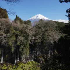 Les chutes Shiraito, un rideau d'eau blanc, se déversent devant le majestueux Mont Fuji sous un ciel bleu clair.