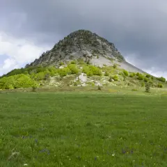 Le Mont Gerbier de Jonc se dresse fièrement sous un ciel orageux, ses pentes verdoyantes parsemées de fleurs sauvages.