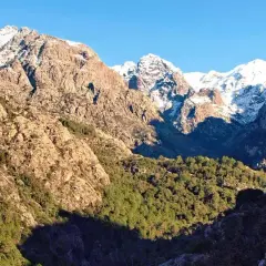 Paysage de Corse, entre mer et montagnes, idéal pour un séjour "mare e monti nord en 7 jours". Montagnes enneigées, rochers et pins.