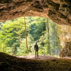 Un homme se tient à l'entrée d'une grotte, contemplant la verdure luxuriante de la gorge de Pokljuka.