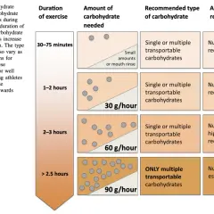 Tableau des recommandations glucide par heure trail : plus l'effort est long, plus les glucides sont nécessaires. Entraînement nutritionnel recommandé.