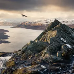 Vue spectaculaire d'une montagne écossaise enneigée, avec un lac et des oiseaux en vol.