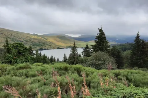Vue paisible d'une randonnée au lac de Guéry, avec des collines verdoyantes, des sapins et un lac calme sous un ciel nuageux.