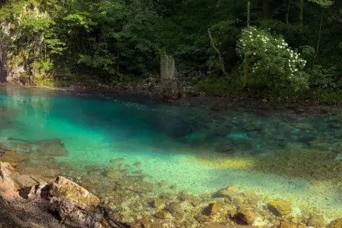 Sentier en bois longeant la rivière aux eaux turquoise des gorges de Vintgar, entourée de verdure luxuriante.