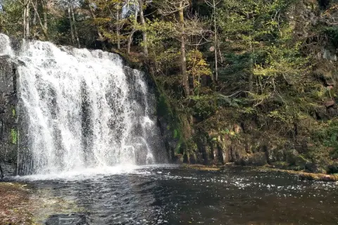 Cascade d'eau tombant dans un lac, entourée d'arbres aux couleurs d'automne. Le lac d'Entraigues reflète la beauté sauvage de la nature.