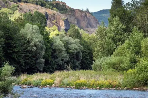 Rivière paisible traversant la gorge de l'Allier, bordée de végétation luxuriante et de falaises rocheuses.