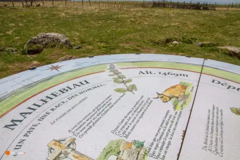 Panneau d'information au signal de Mailhebiau, altitude 1469m, avec poème et illustrations de paysages et d'une vache Aubrac.