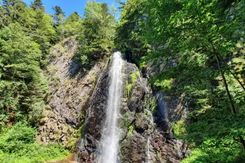 Une cascade 63 s'écrase sur une paroi rocheuse, entourée d'une végétation luxuriante et d'arbres verdoyants sous un ciel bleu.