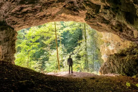 Un homme se tient à l'entrée d'une grotte, contemplant la verdure luxuriante de la gorge de Pokljuka.