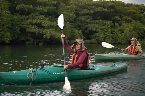 Deux kayakistes naviguent sur une rivière bordée de mangroves sur l'île Iriomote.