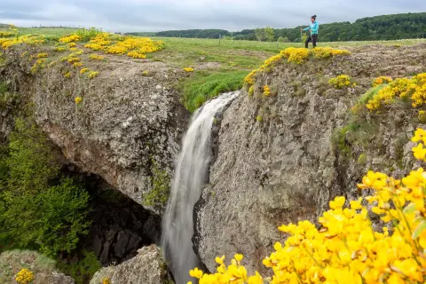 Une randonneuse admire la cascade d'Aubrac, entourée de genêts jaunes éclatants et de verdure luxuriante.