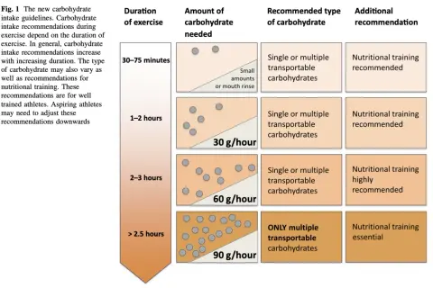 Tableau des recommandations glucide par heure trail : plus l'effort est long, plus les glucides sont nécessaires. Entraînement nutritionnel recommandé.