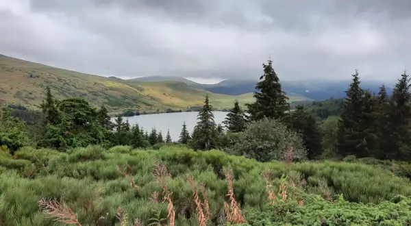 Vue paisible d'une randonnée au lac de Guéry, avec des collines verdoyantes, des sapins et un lac calme sous un ciel nuageux.