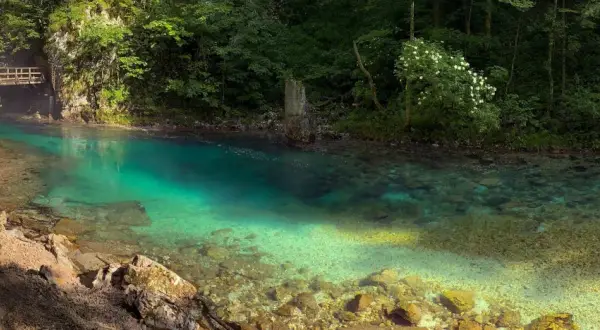Sentier en bois longeant la rivière aux eaux turquoise des gorges de Vintgar, entourée de verdure luxuriante.