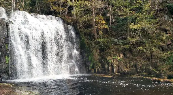 Cascade d'eau tombant dans un lac, entourée d'arbres aux couleurs d'automne. Le lac d'Entraigues reflète la beauté sauvage de la nature.