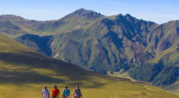 Quatre randonneurs marchent dans un paysage de montagne verdoyant, avec le plus haut sommet du Massif Central en toile de fond.