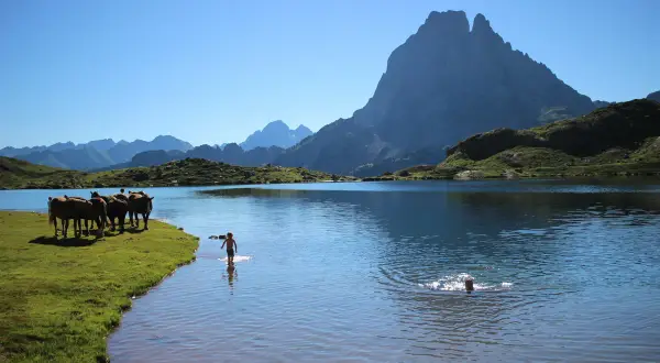 Chevaux près d'un lac de montagne, un enfant barbotant dans l'eau. La plus belle randonnée France 2 jours, paysage pyrénéen époustouflant.