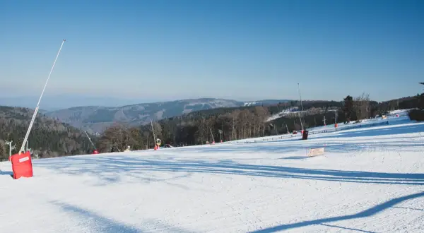 Piste de ski de fond au Champ du Feu, sous un ciel bleu. Des canons à neige sont visibles sur le flanc de la montagne enneigée.