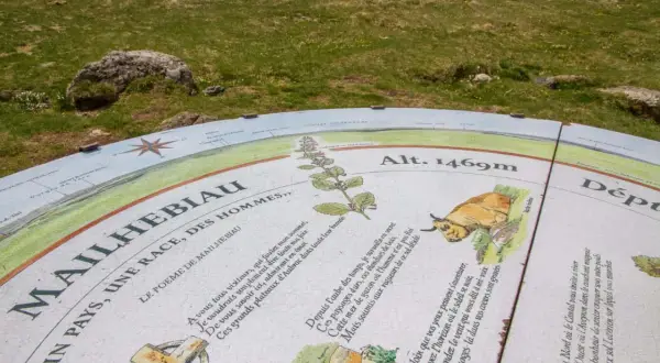 Panneau d'information au signal de Mailhebiau, altitude 1469m, avec poème et illustrations de paysages et d'une vache Aubrac.