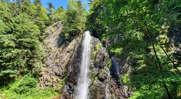 Une cascade 63 s'écrase sur une paroi rocheuse, entourée d'une végétation luxuriante et d'arbres verdoyants sous un ciel bleu.