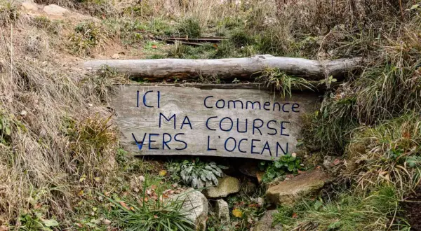 Panneau en bois aux **sources de la Loire** : "Ici commence ma course vers l'océan". Entouré d'herbes sèches et de rochers.