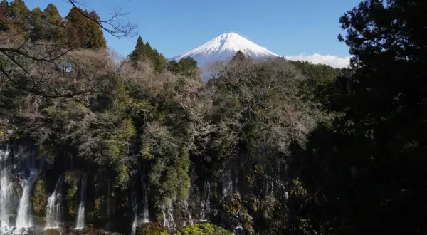 Les chutes Shiraito, un rideau d'eau blanc, se déversent devant le majestueux Mont Fuji sous un ciel bleu clair.