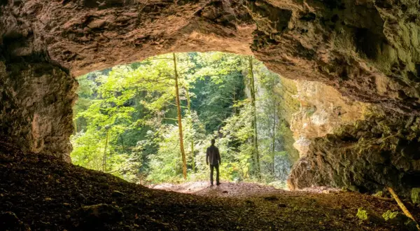 Un homme se tient à l'entrée d'une grotte, contemplant la verdure luxuriante de la gorge de Pokljuka.