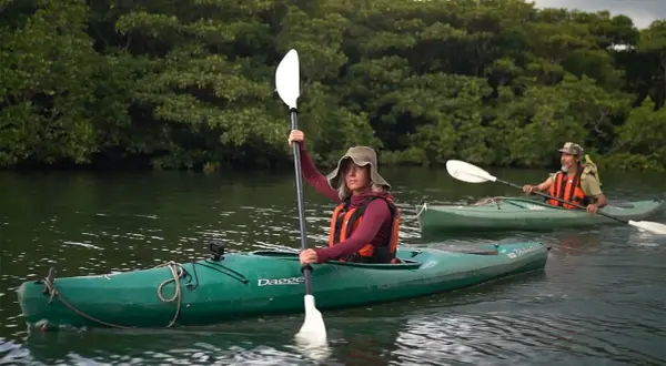 Deux kayakistes naviguent sur une rivière bordée de mangroves sur l'île Iriomote.