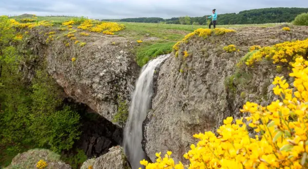 Une randonneuse admire la cascade d'Aubrac, entourée de genêts jaunes éclatants et de verdure luxuriante.