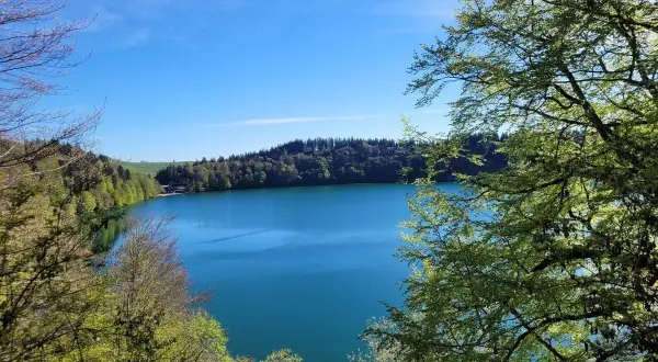Vue magnifique d'une randonnée au lac Pavin, avec ses eaux bleues profondes entourées de forêts verdoyantes sous un ciel clair.