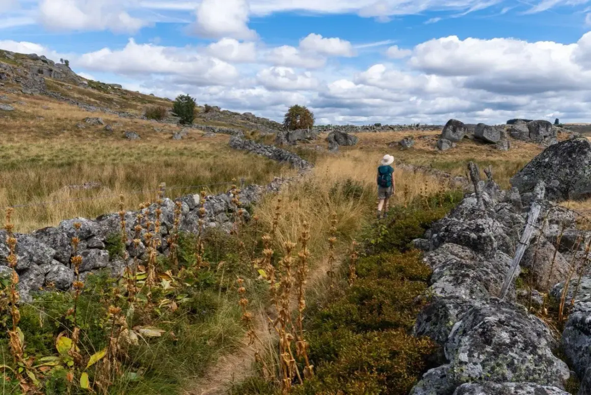 Randonneuse sur un sentier bordé de murs en pierre sèche sur le mont Aubrac, sous un ciel bleu parsemé de nuages.