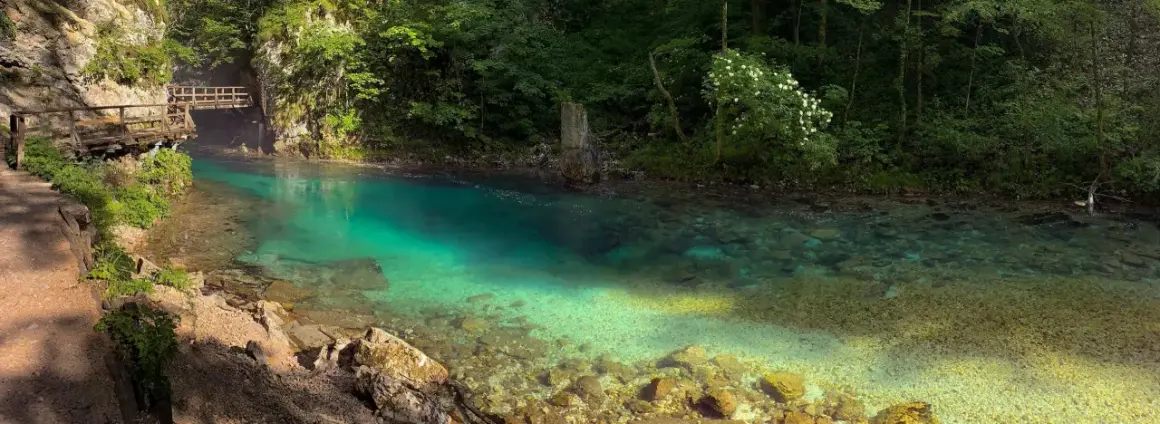 Sentier en bois longeant la rivière aux eaux turquoise des gorges de Vintgar, entourée de verdure luxuriante.