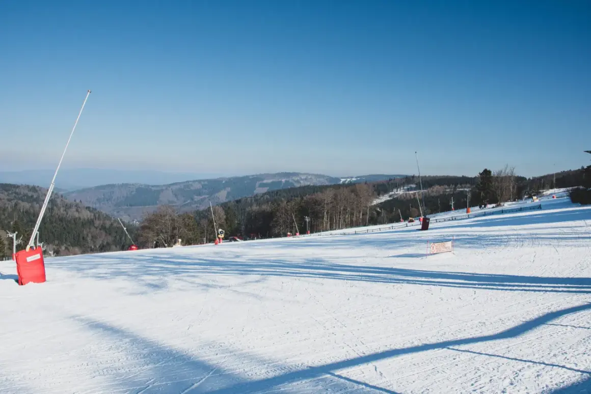 Piste de ski de fond au Champ du Feu, sous un ciel bleu. Des canons à neige sont visibles sur le flanc de la montagne enneigée.