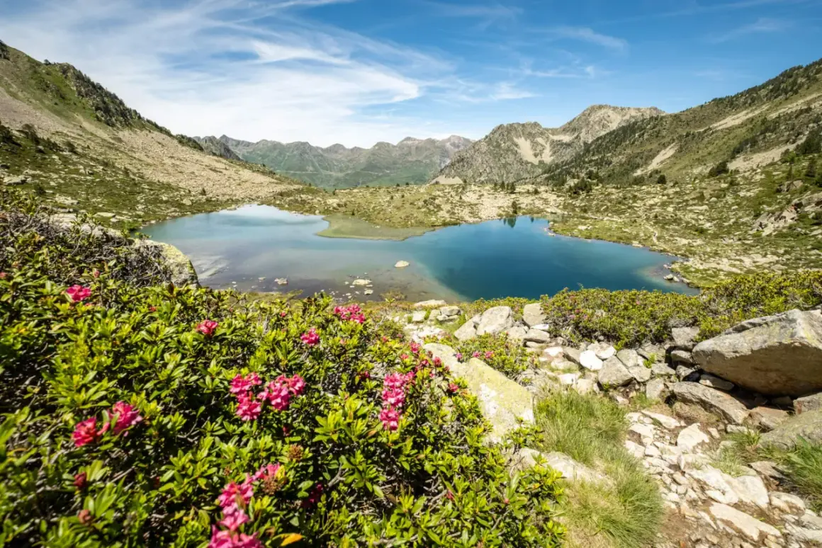 Magnifique lac bleu des Pyrénées, idéal pour une randonnée Néouvielle 1 jour. Rhododendrons en fleurs au premier plan.