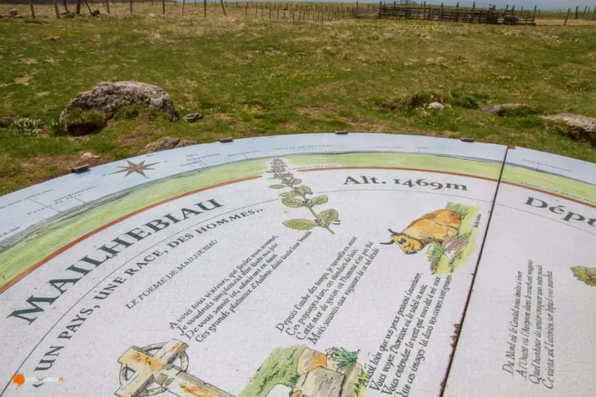 Panneau d'information au signal de Mailhebiau, altitude 1469m, avec poème et illustrations de paysages et d'une vache Aubrac.
